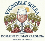 Pas mal non ! C'est français...